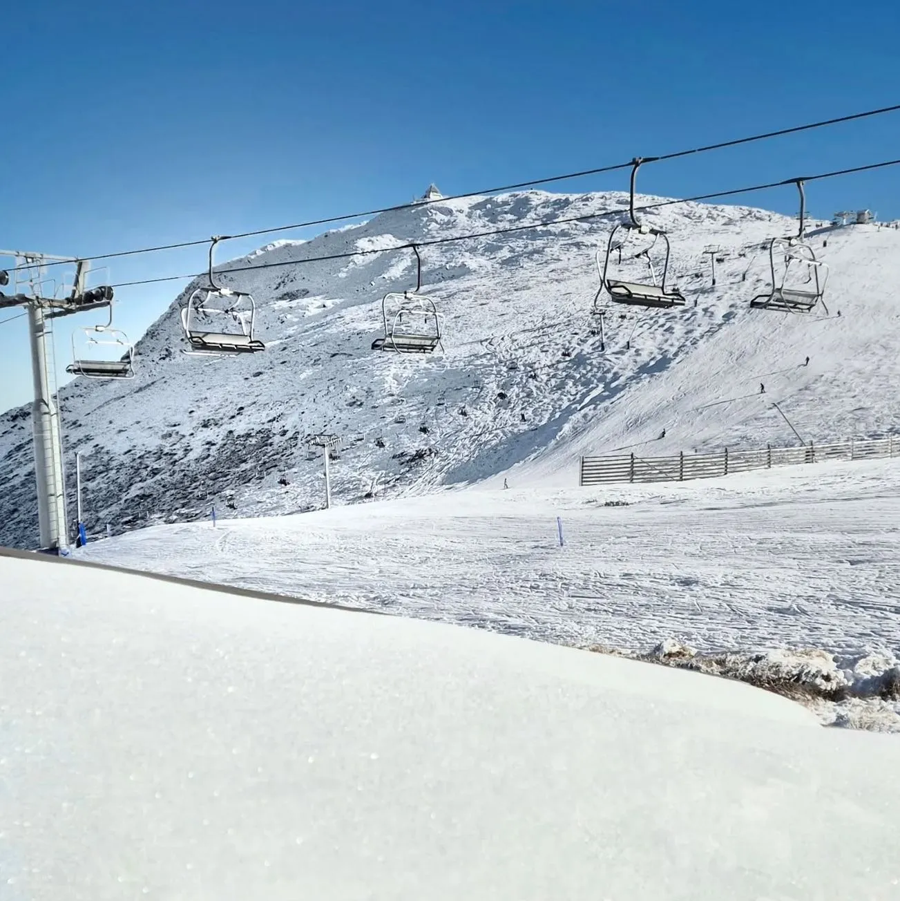 Overview of the Ski Season